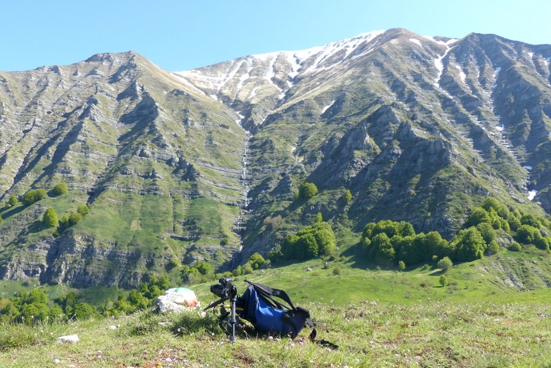 Monte Doro e Cima della Laghetta, le orchidee e i loro ambienti - luglio 2025.